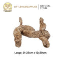 Niteangel Bamboo Roots Decoration - Big