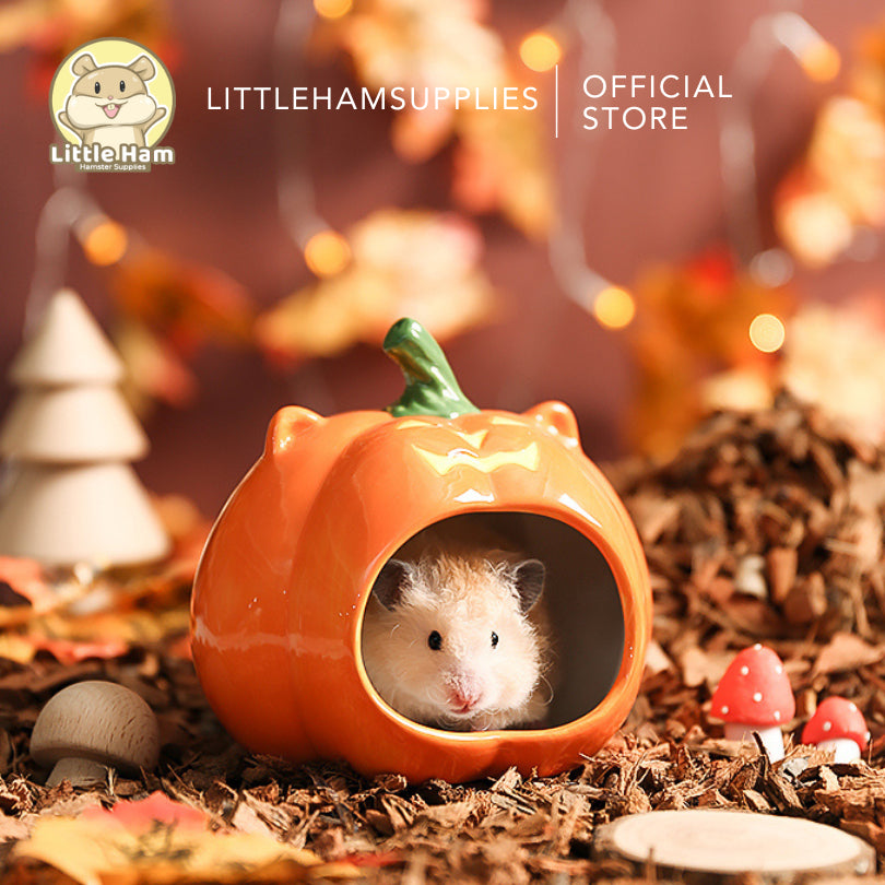 Tafit Pumpkin Ceramic Hideout for Small pets