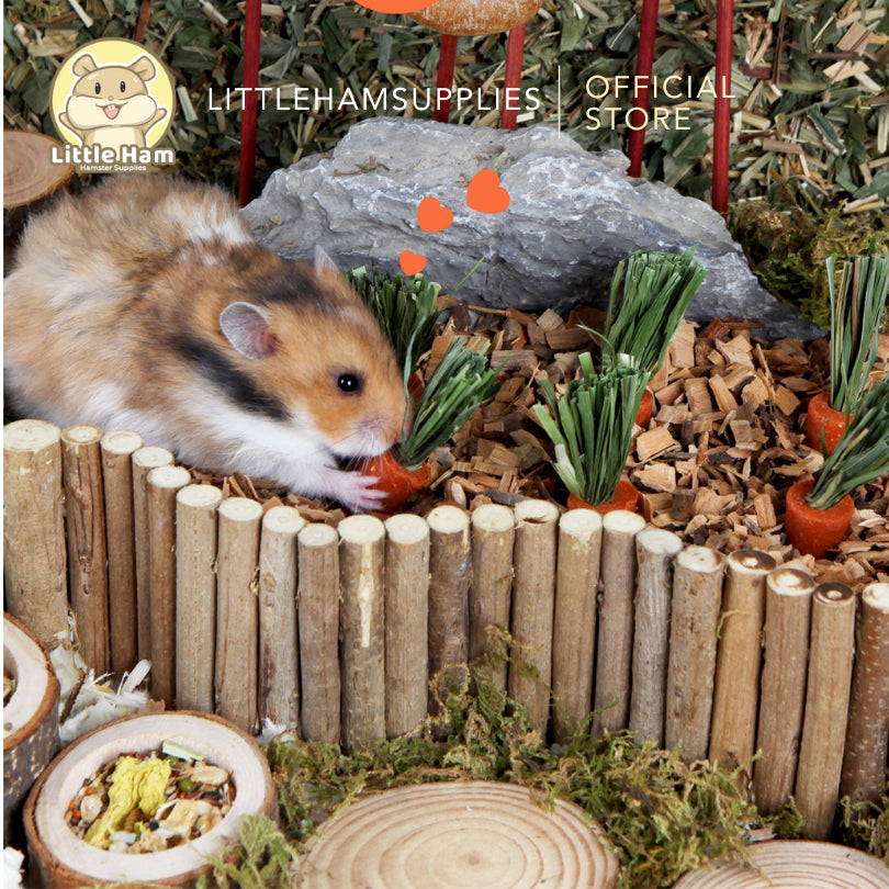 BUCATSTATE Chew Molar for Oral Care Carrot Sticks For small pets