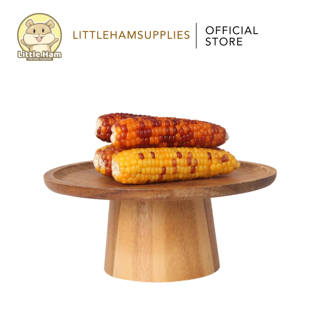 BUCATSTATE Natural Chewing Corn for Molar 1pc