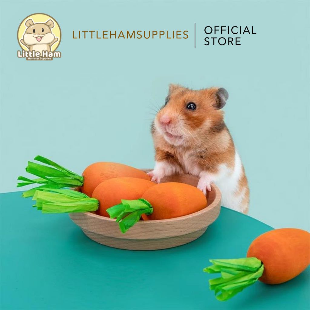 Niteangel Carrot Chew Molar Grinding Teeth Toy