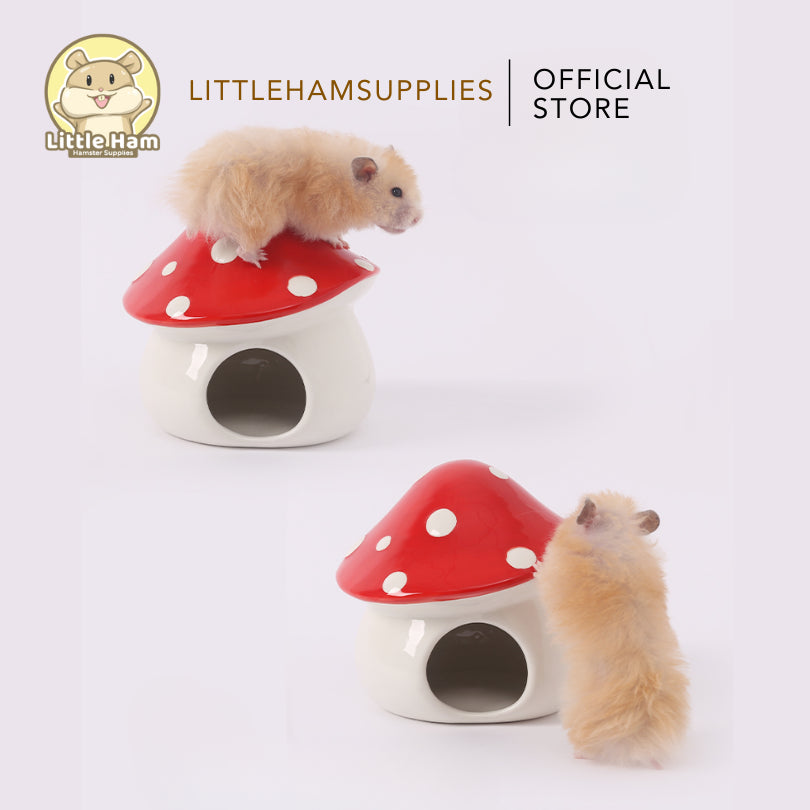 Tafit Red Mushroom Ceramic Hideout for small pets