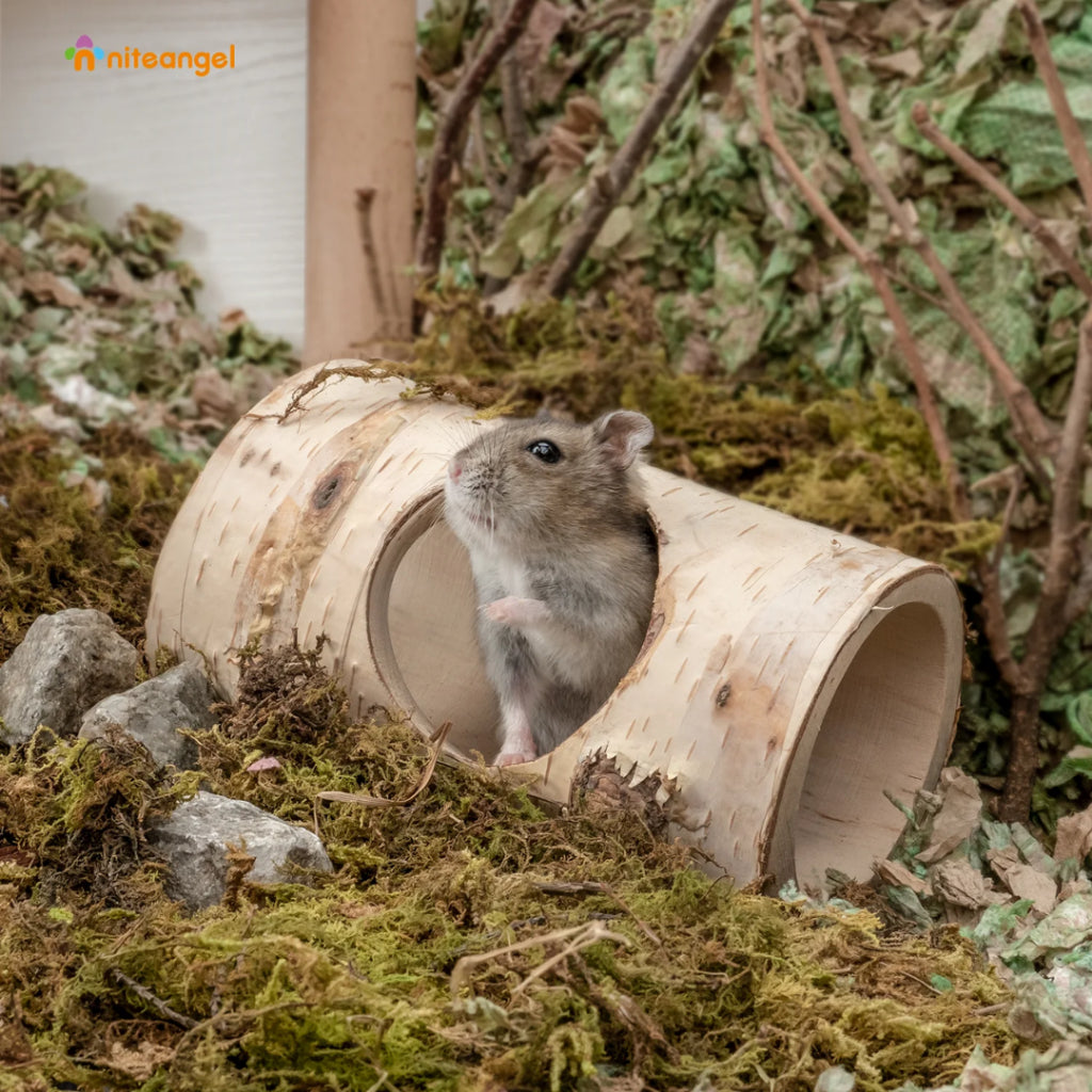 Niteangel Natural Birch Tree Log Tunnel Hideout for small pets