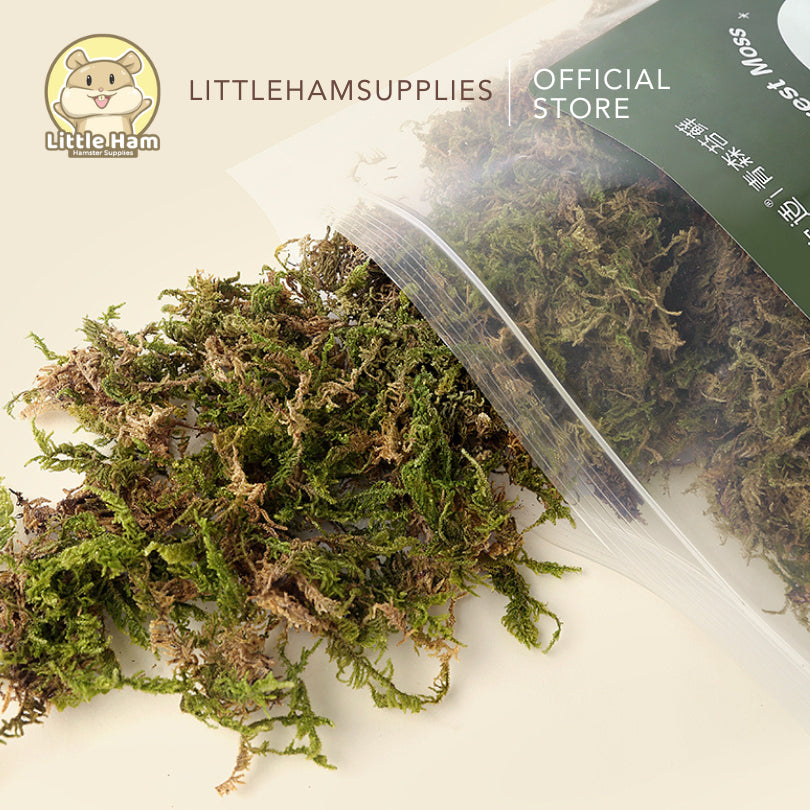Tafit 5L Forest Moss Soft Natural Moss Decoration Texture Substrate Bedding Hamster & Small Pets