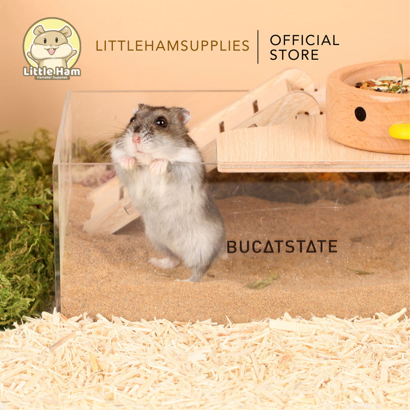 BUCATSTATE Rectangular Sand Box with Wooden Ladder for small pets