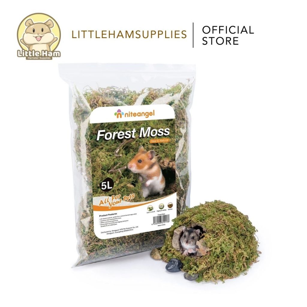 Niteangel 5L Forest Moss Soft Natural Moss Decoration Texture Substrate Bedding Hamster & Small Pets