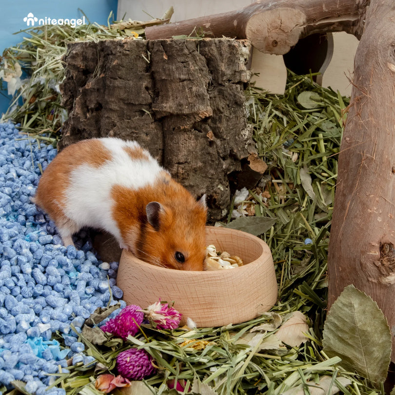 Niteangel High Quality Wood Food Dish Feeding Bowl Hamster Gerbils Mice & Small Rodent Pet