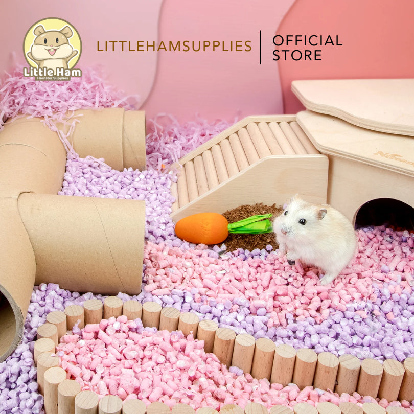 Niteangel Carrot Chew Molar Grinding Teeth Toy