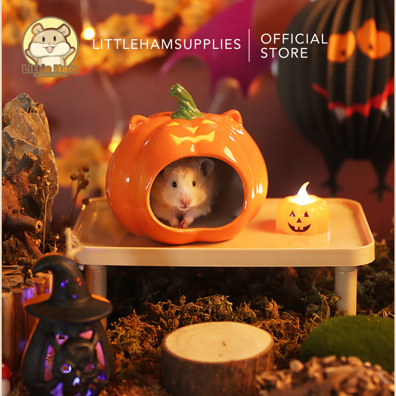 Tafit Pumpkin Ceramic Hideout for Small pets