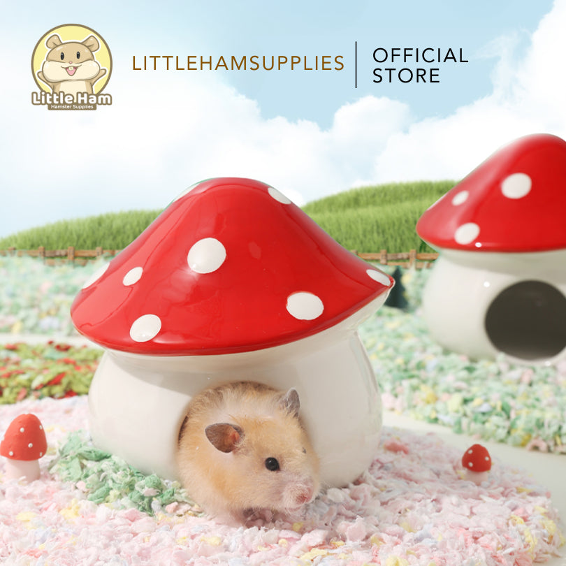 Tafit Red Mushroom Ceramic Hideout for small pets