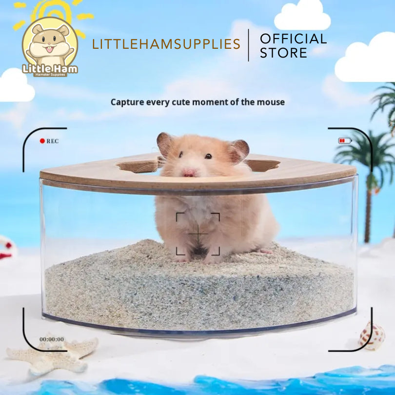 Tafit Corner Sandbox Shell Shaped for small pets