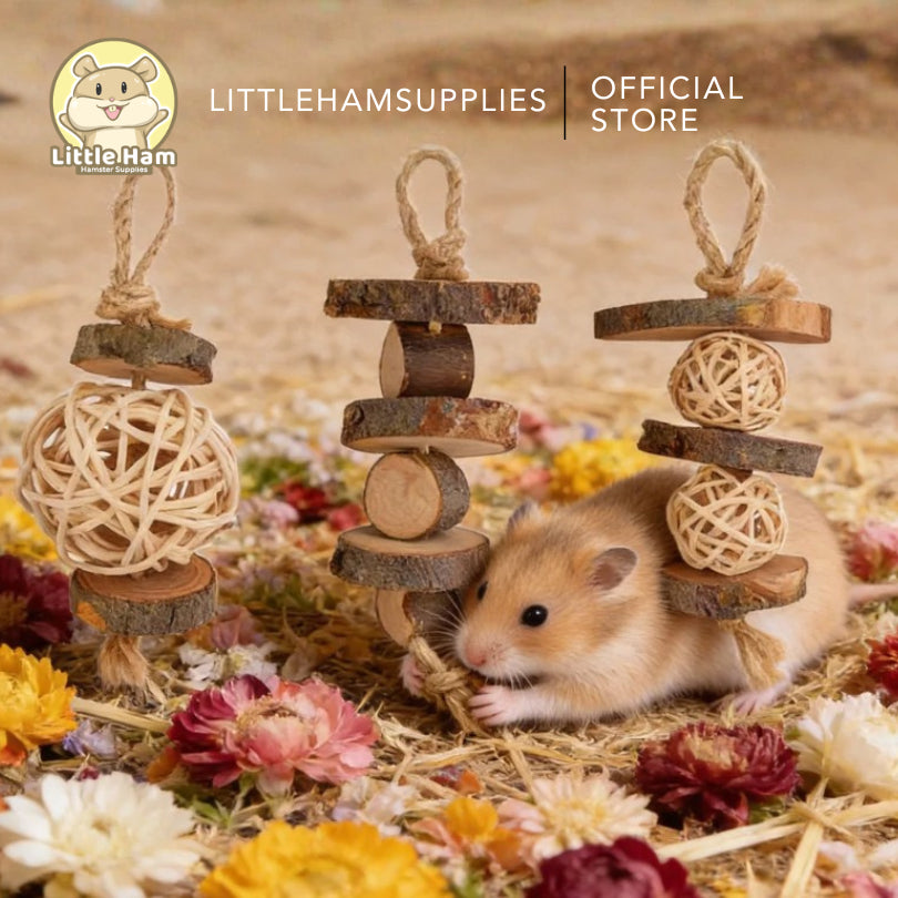 Niteangel Hanging Wood Chew Toy for Rodents and small Pets