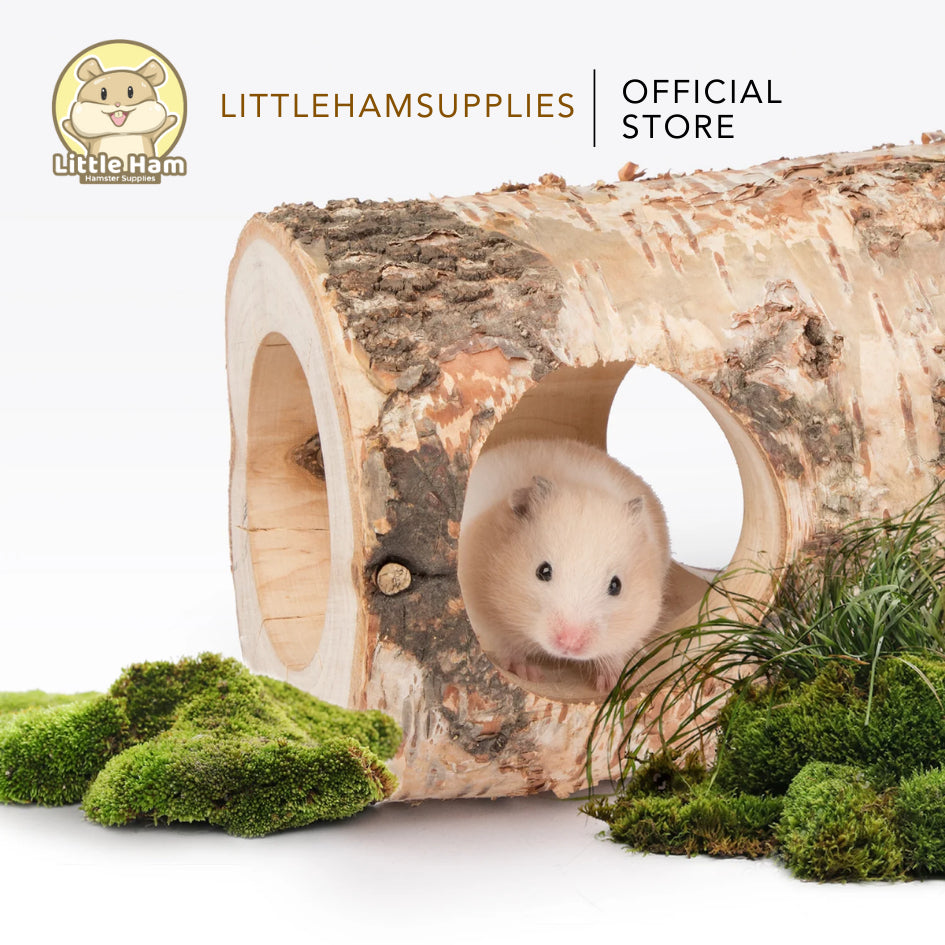 Niteangel Natural Birch Tree Log Tunnel Hideout for small pets