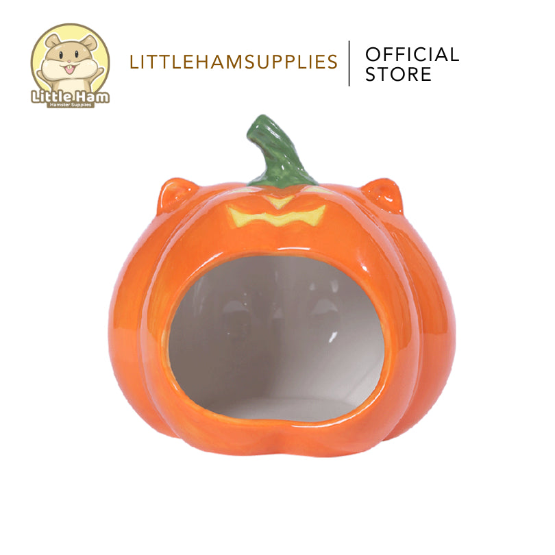 Tafit Pumpkin Ceramic Hideout for Small pets