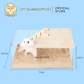 BUCATSTATE Rectangular Sand Box with Wooden Ladder for small pets