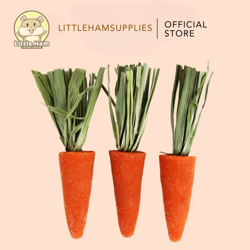 BUCATSTATE Chew Molar for Oral Care Carrot Sticks For small pets