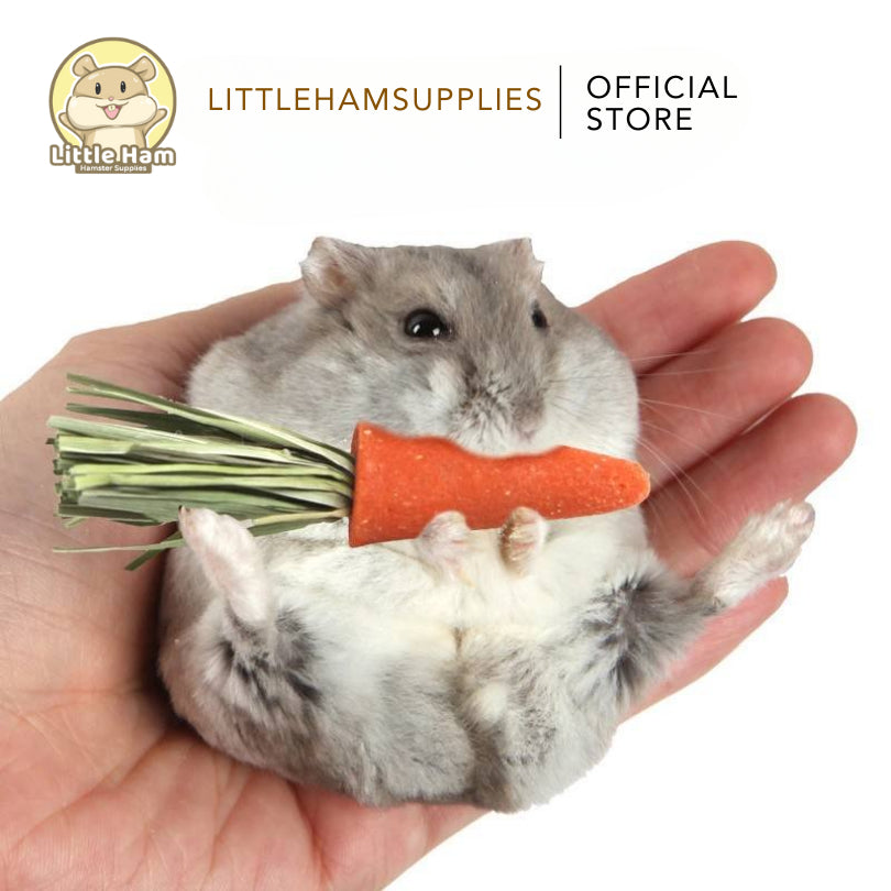 BUCATSTATE Chew Molar for Oral Care Carrot Sticks For small pets