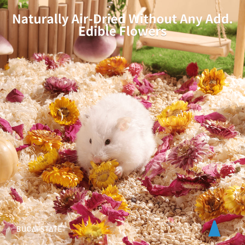 BUCATSTATE Natural Flower Bedding Decoration for small Pets 100g