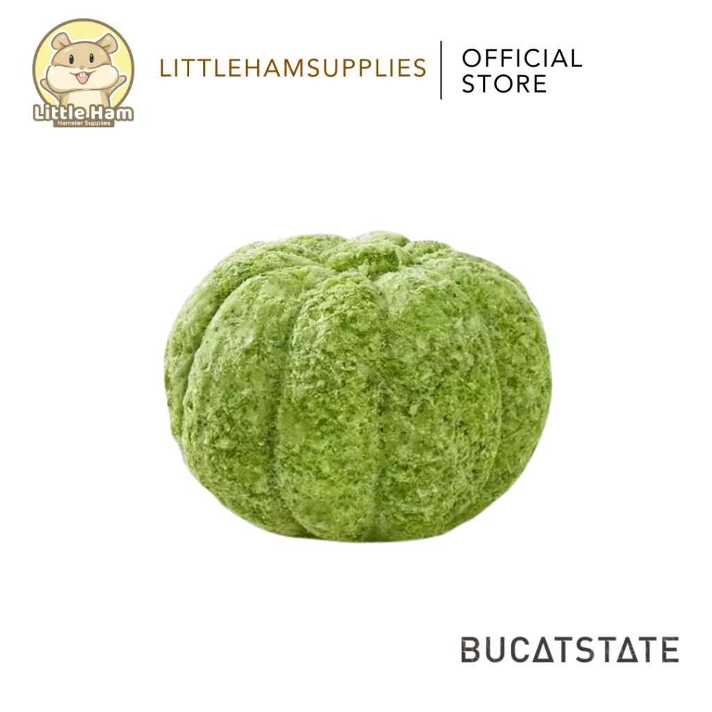 BUCATSTATE Pumpkin Chew  Design for teeth Grinding and treats