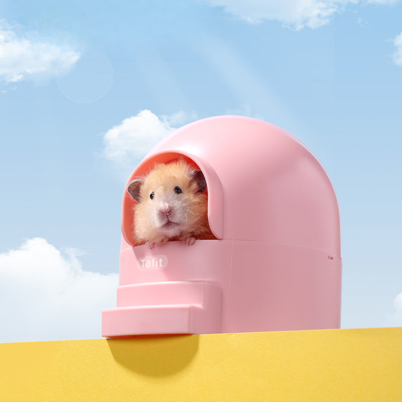 Tafit Dome-shape Sand Bath / Hideout for small pets