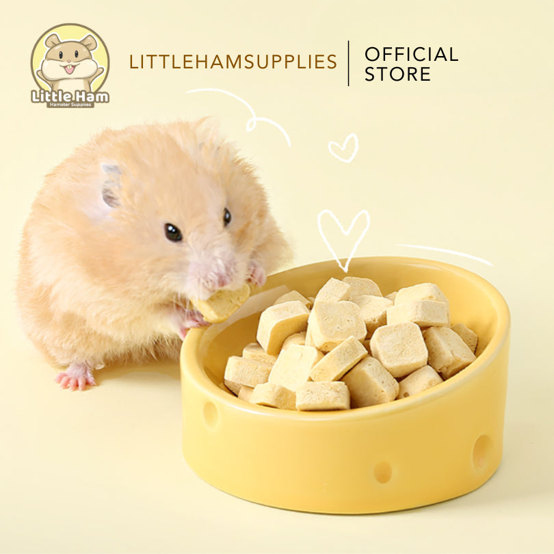 Tafit Cheese Ceramic Food Dish Feeding Bowl Hamster Dwarf Syrian Gerbils Mice & Small Rodent Pet