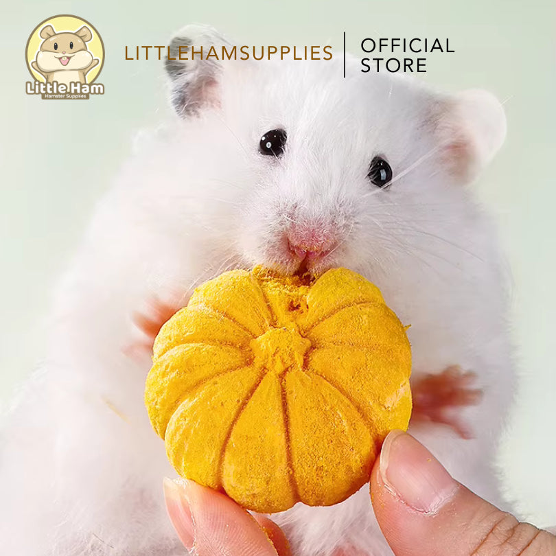 Bucatstate Pumpkin Chew Chia / Flower / Pumpkin Flavor for teeth Grinding Molar