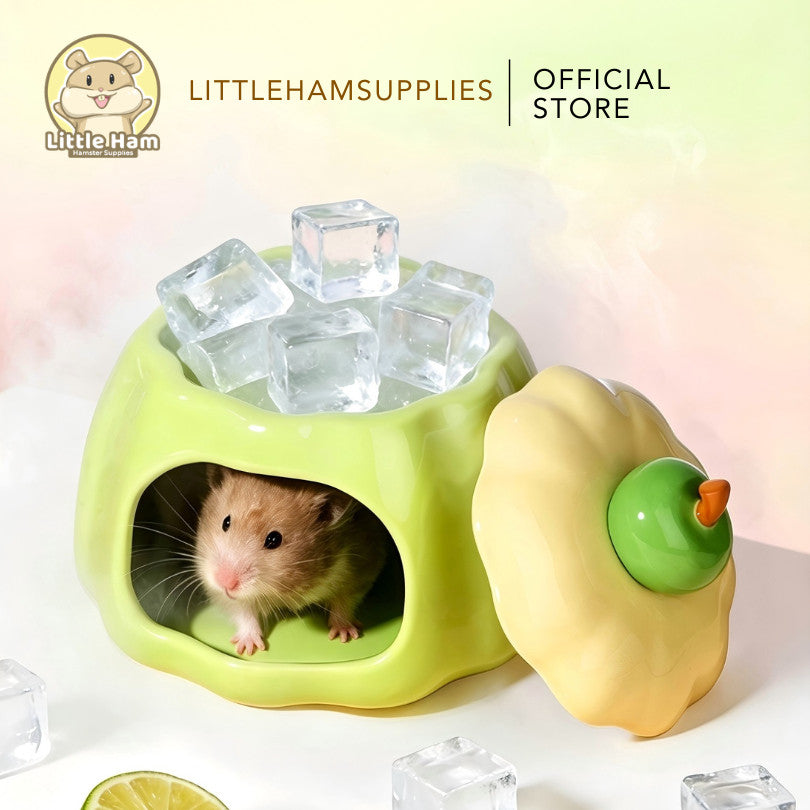 BUCATSATE Cute Pudding Ceramic Hideout Set for small pets