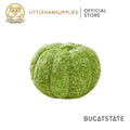 Bucatstate Pumpkin Chew Chia / Flower / Pumpkin Flavor for teeth Grinding Molar