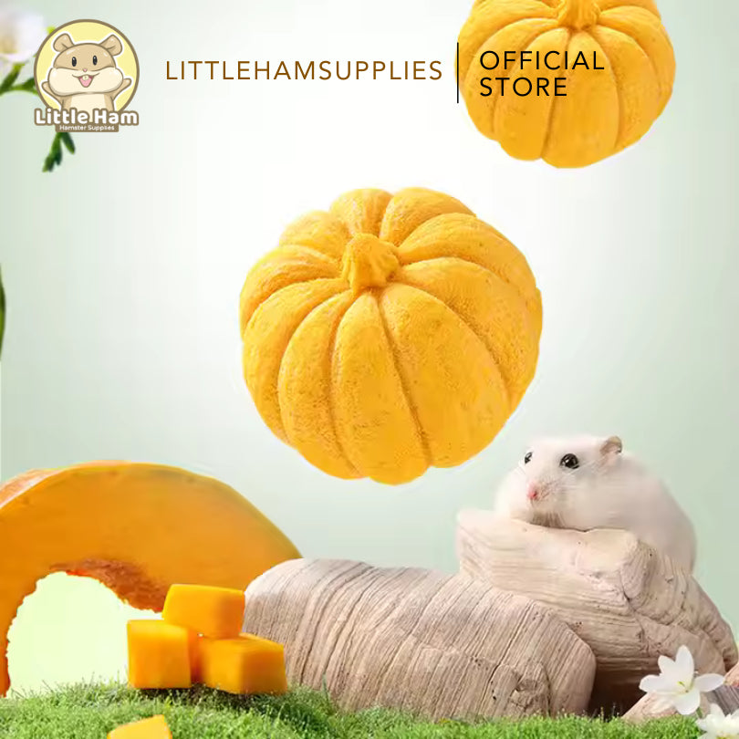 Bucatstate Pumpkin Chew Chia / Flower / Pumpkin Flavor for teeth Grinding Molar