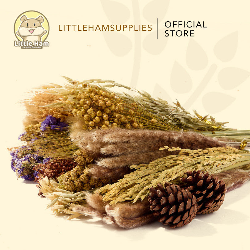 Bucatstate Natural Floral Sprays