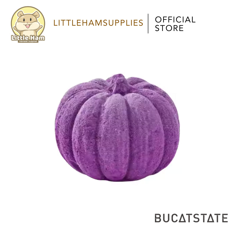 Bucatstate Pumpkin Chew Chia / Flower / Pumpkin Flavor for teeth Grinding Molar