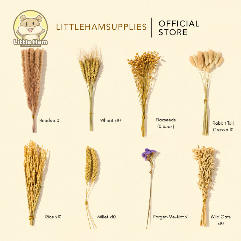 Bucatstate Natural Floral Sprays