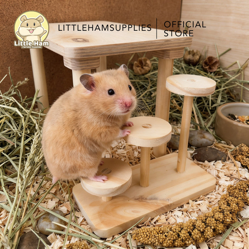 Natural Wooden 3-Step Ladder for Hamsters & Small Pets