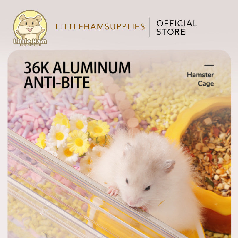 Tafit Transparent Acrylic Cage 75cm for small pets and reptiles