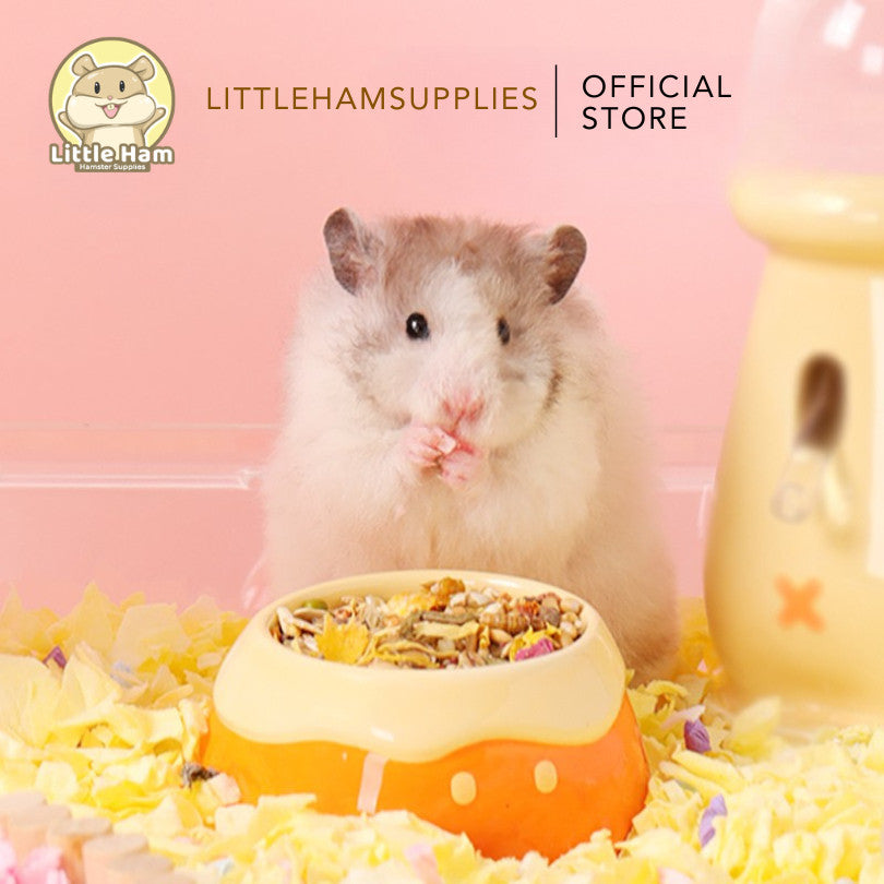 Tail Tale Cute and Stylish Food Pet Bowl for Small Pets