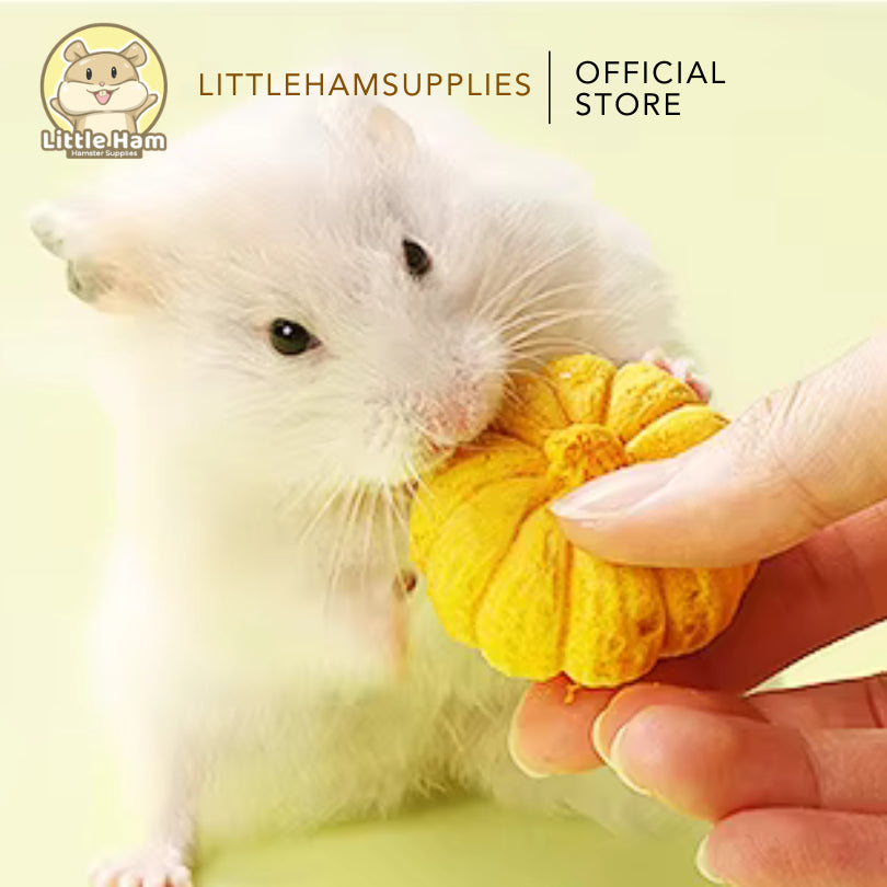 Bucatstate Pumpkin Chew Chia / Flower / Pumpkin Flavor for teeth Grinding Molar