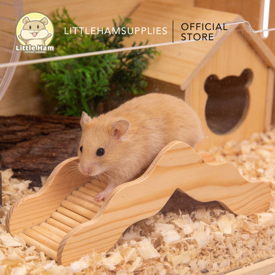 Little Ham Supplies Wavy Wooden Bridge Way for small pets