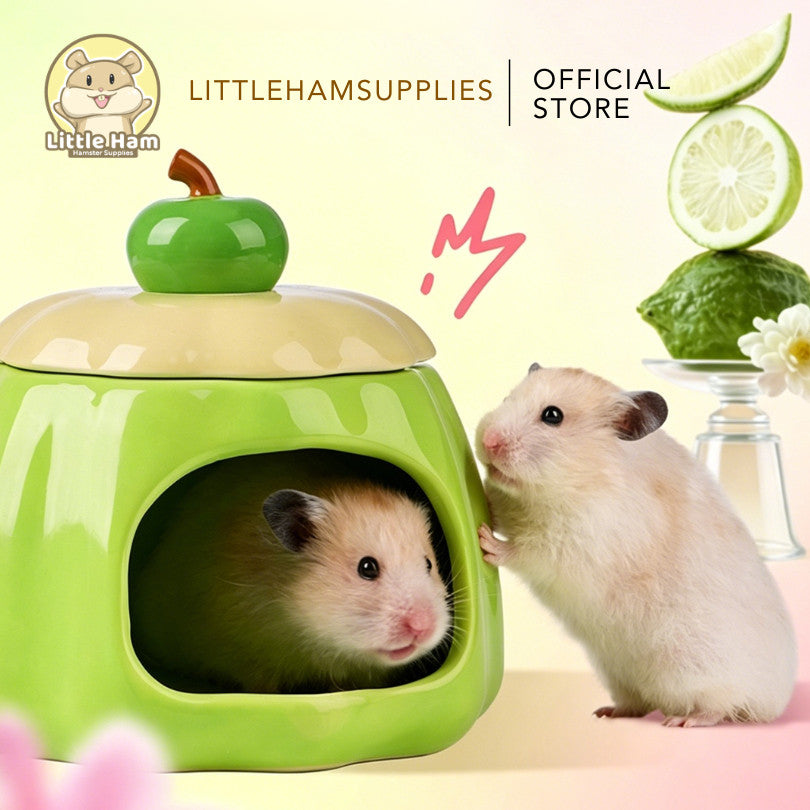 BUCATSATE Cute Pudding Ceramic Hideout Set for small pets