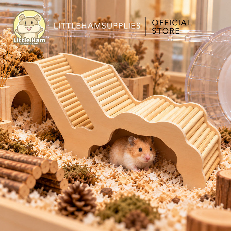Tunnel Peeping hideout Dwarf and Syrian Hamster