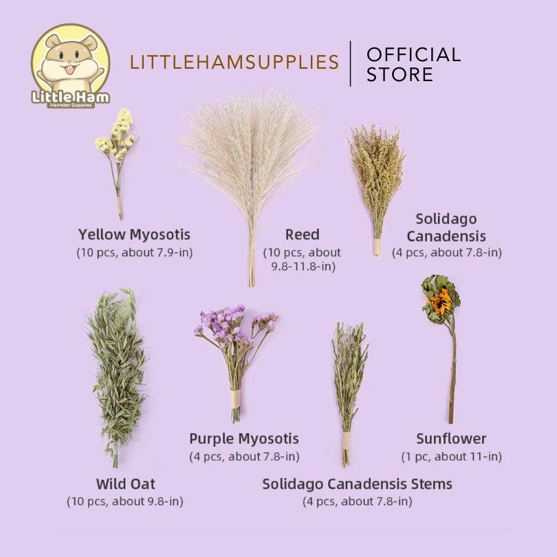 Niteangel Harvest Wind Dried Flowers and Sprays Decoration