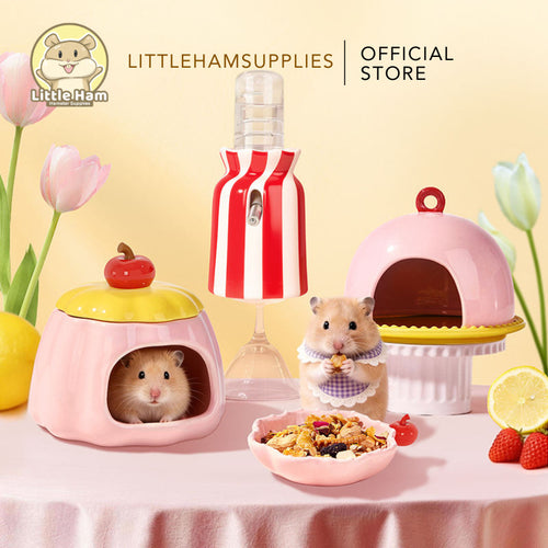BUCATSATE Cute Pudding Ceramic Hideout Set for small pets