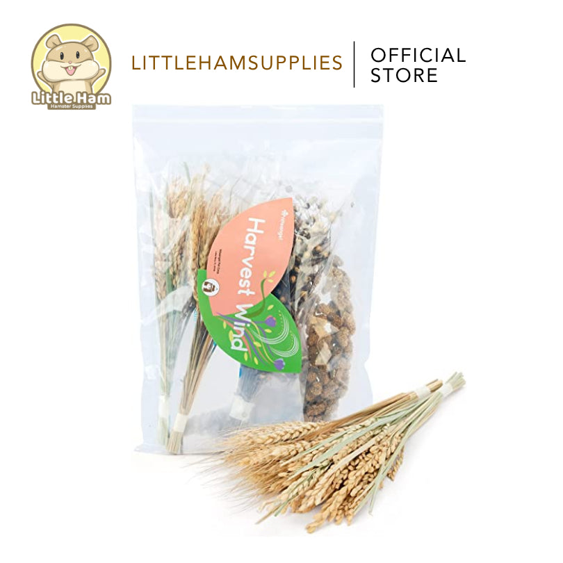 Niteangel Harvest Wind Dried Flowers and Sprays Decoration