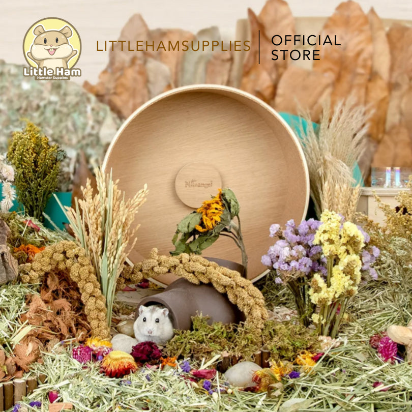 Niteangel Harvest Wind Dried Flowers and Sprays Decoration