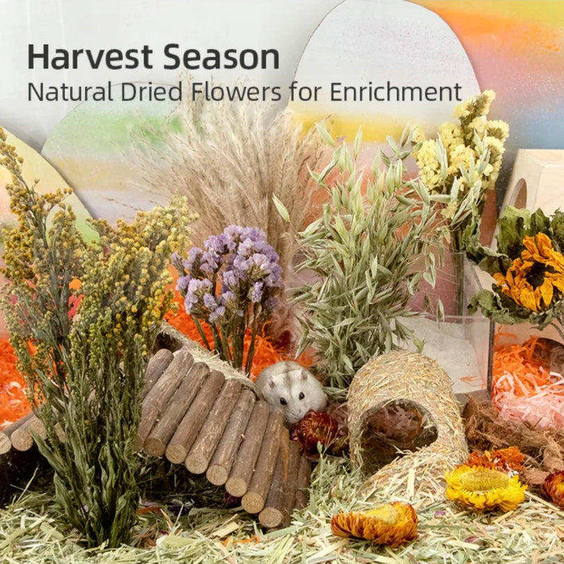 Niteangel Harvest Wind Dried Flowers and Sprays Decoration