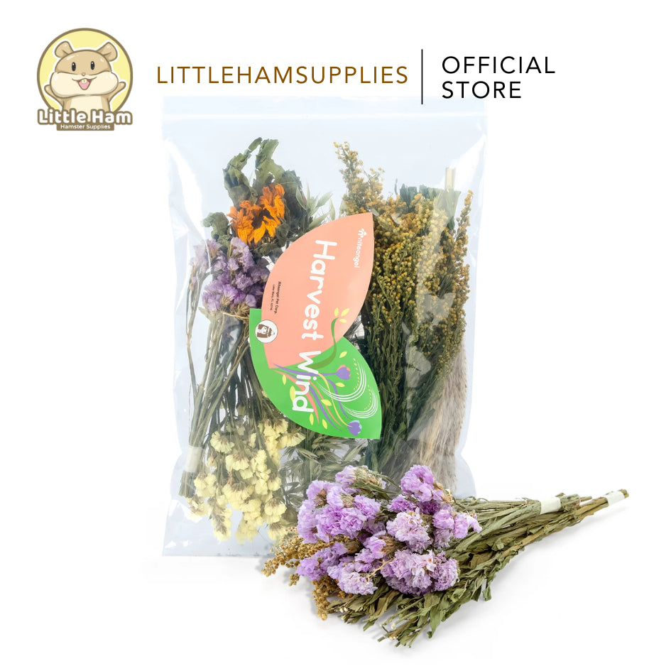 Niteangel Harvest Wind Dried Flowers and Sprays Decoration
