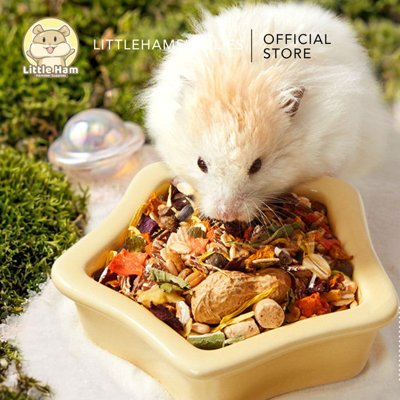 YEE Star Ceramic Theme set for small pets