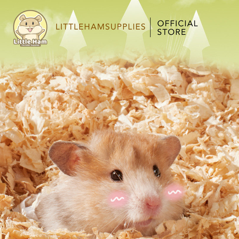 Bucatstate Aspen Wood Beddings 1kg for small pets