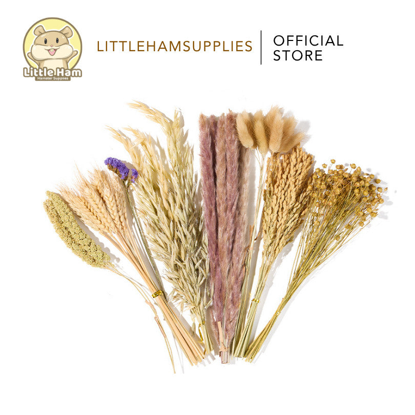 Bucatstate Natural Floral Sprays