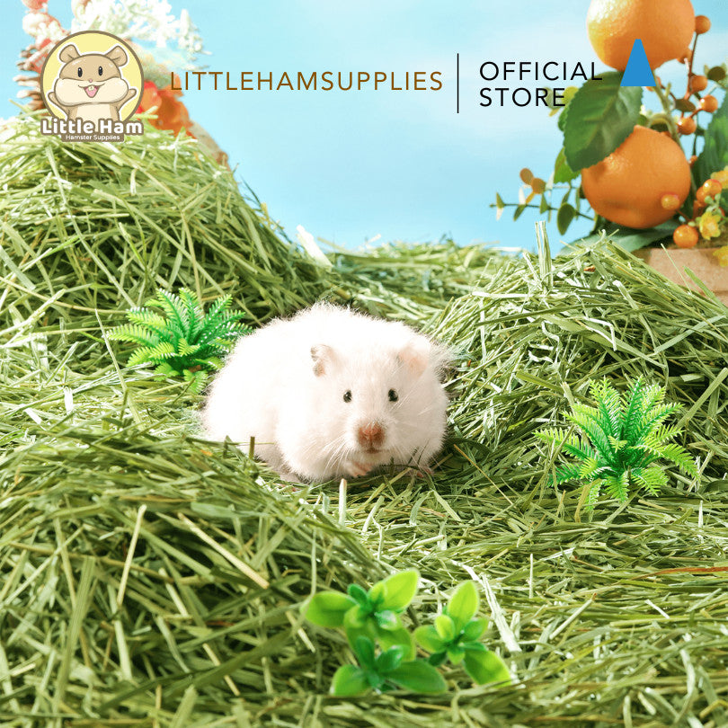 BUCATSTATE Padding Grass pet bedding substrate texture 500g