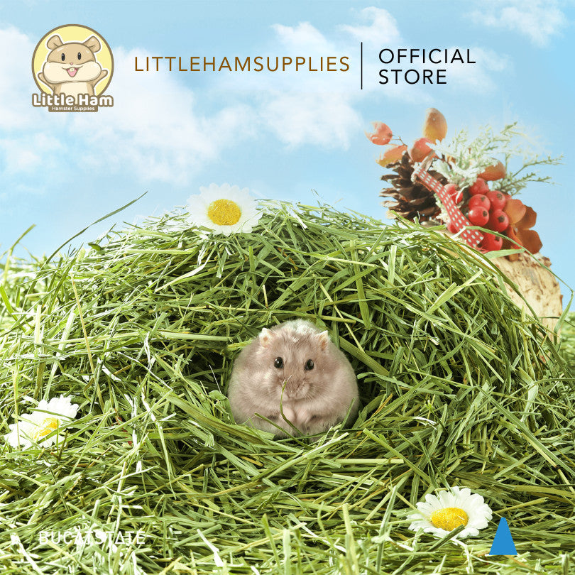 BUCATSTATE Padding Grass pet bedding substrate texture 500g